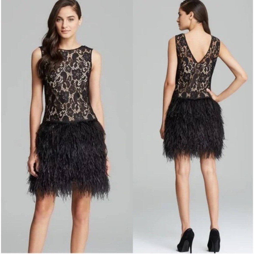 Cynthia Steffe Lace and Ostrich Feather Skirt Dress, Flapper Gatsby Style Size 0